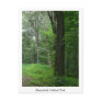 Cool Summer Evening Postcard