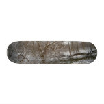 Cool Winter Scene SkateBoard