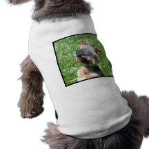 Cool Yorkshire Terrier Dog Shirt