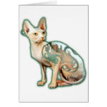 Coolest Cat cards