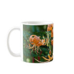 COOLEST MOM! Coffee Cup Mug Tiger Lily Flowers