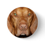 Coon Hound Round Button