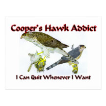 Cooper's Hawk Addict Post Card