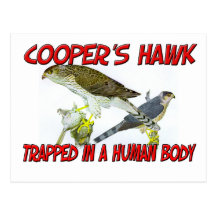 Cooper's Hawk trapped in a human body Postcards