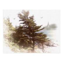 Coos Bay Oregon Postcard