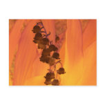 copper16 post cards