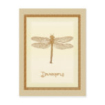 Copper Dragonfly Postcard