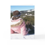 copper mountain, co. fena. cards