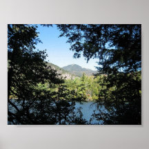 Copper Pond Poster