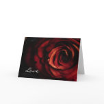 Copper Rose