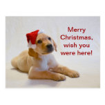 "Copper" says Merry Christmas! Postcard