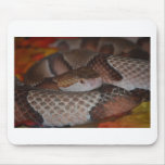 Copperhead mousepads