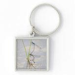 Copulation of Damselflies keychains
