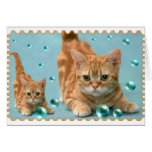 Copy Cat Card