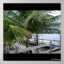 Copy of Picture 221, Isla Roatan Poster
