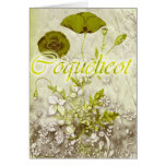 Coquelicot Greeting Card