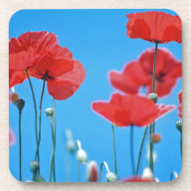 Coquelicots de Provence Dessous-de-verre