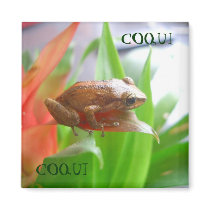 COQUI magnets