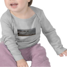 Coquille Point, Oregon T Shirt