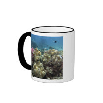 Coral, Agincourt Reef, Great Barrier Reef, Mug