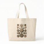 Coral bags