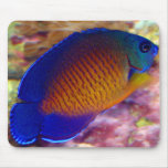 Coral Beauty Angelfish Mousepad
