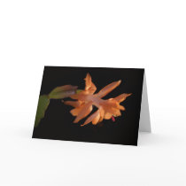 Coral Christmas Castus Bloom Card