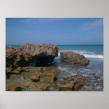 coral cove 2 poster