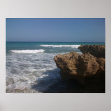 coral cove posters