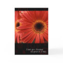 Coral Gerbera with Quote, by Anna Wight cards