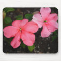 Coral Impatiens Flower Mousepad