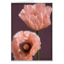 Coral Poppies Card
