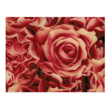Coral Reds Roses Bouquet, floral, template Post Card