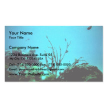 Coral Reef Business Cards