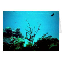 Coral Reef Greeting Cards
