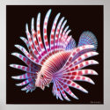 Coral Reef Lionfish Poster posters