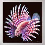 Coral Reef Lionfish Poster posters