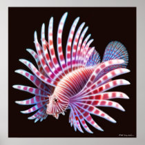 Coral Reef Lionfish Poster