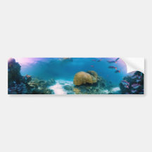 Coral Reef Near Heron Island Bumper Sticker
