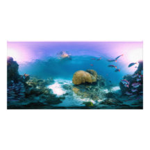 Coral Reef Near Heron Island Personalized Photo Card