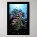 Coral Reef Poster posters