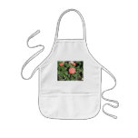 Coral Rose Bush aprons