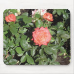 Coral Rose Bush mousepads