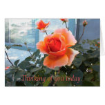 Coral Rose Card, Thinking of you today.