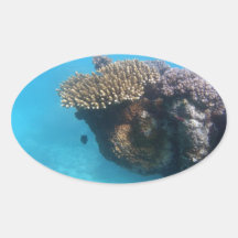 Coral Seascape Sticker
