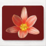Coral Tulip ~ mousepad