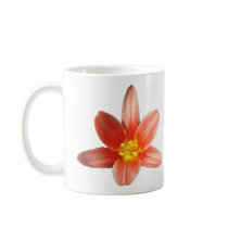Coral Tulip ~ mug