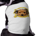 Cordell_Chorkie_Shelly-3a pet clothing