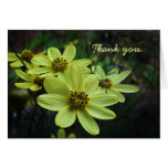 Coreopsis Blossom Thank You Card