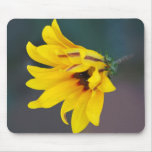 Coreopsis flower and its meaning mousepads